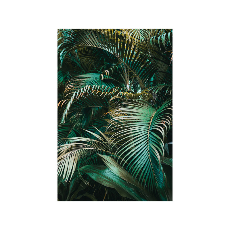 Camo - Wrapped Canvas Print, 20.32 cm H x 30.48 cm W