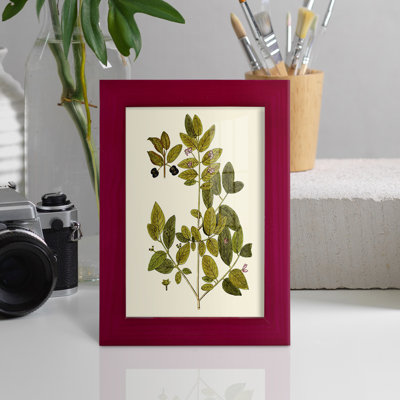 Olive Greenery VII, reproduction d'art encadrée