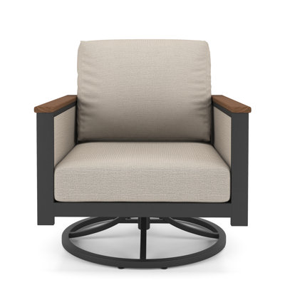 Townsend Metal Outdoor Swivel Rocking Chair with Sunbrella Cushion by Latitude Run