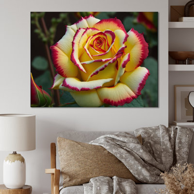 «Red and Yellow Blossoming Spring Rose I», reproduction sur toile