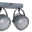 Roark Ceiling Spotlight