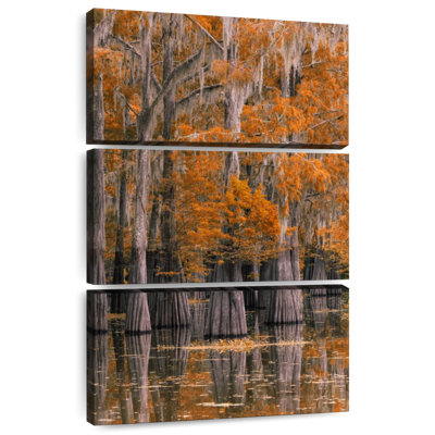 Harnek Lake Martin Cypress Tree In Autumn