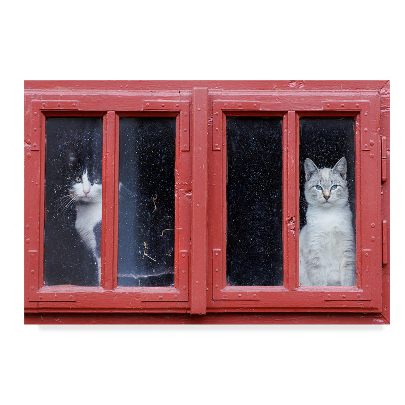 Red Framed Canvas Art with Cats in Window, 24" x 16"