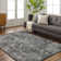 Adelia Machine Woven Oriental Area Rug