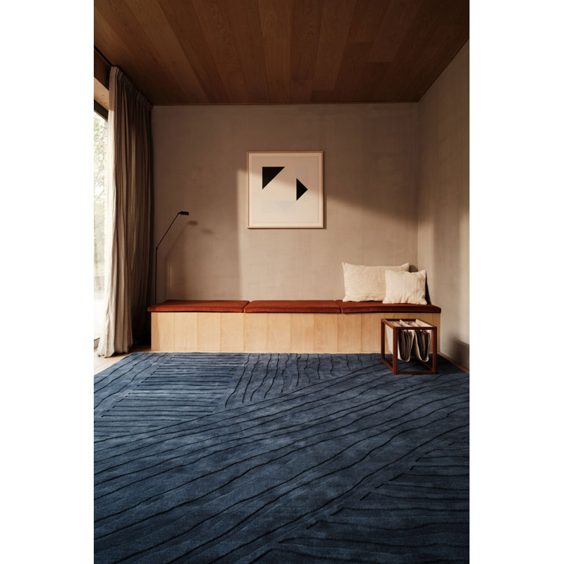 Ariso Midnight Area Rug, Rectangle 10' x 14'