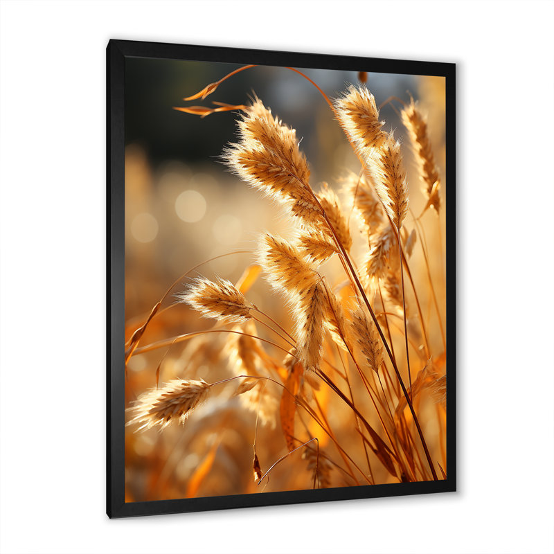 Golden Meadow Grass sur toile, Cadre simple noir, H 40 po x l 30 po x P 1,5 po
