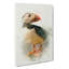 An Atlantic Puffin In Abstract - Wrapped Canvas Painting-55306582