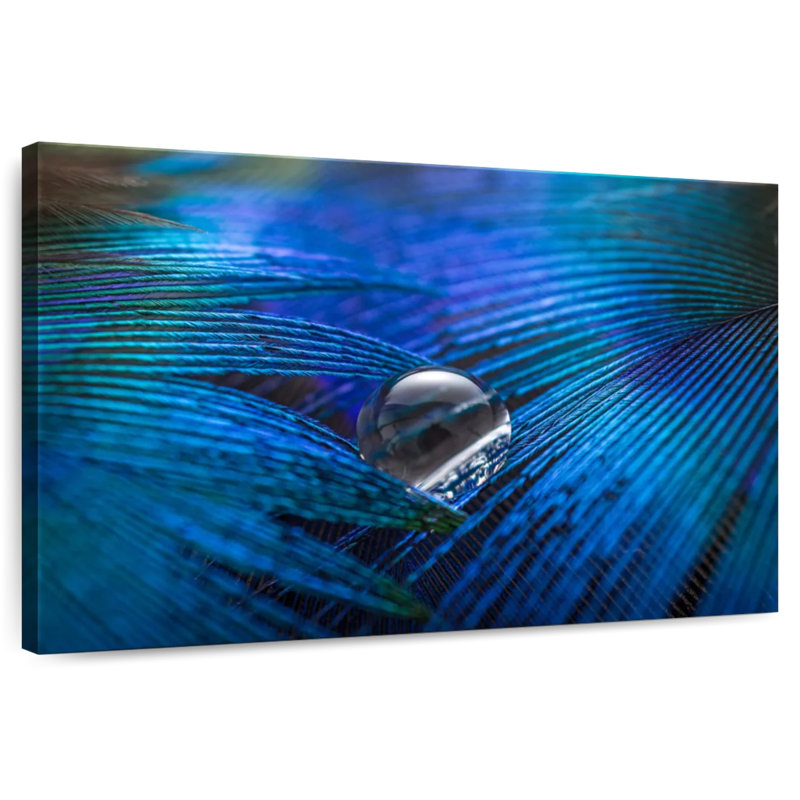 Plume bleue Kerner Dewy