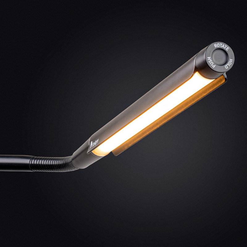 152cm LED Novelty Floor Lamp
