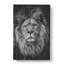 View Of A Lion - Wrapped Canvas-61853057