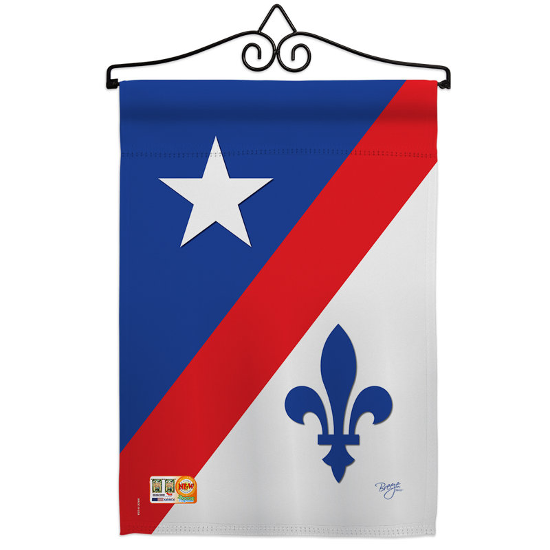 Ensemble de polyester à 2 faces 13 x 19 po franco american ensemble de drapeaux