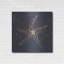 «Gold Starfish II» par Chris Paschke-1654213850