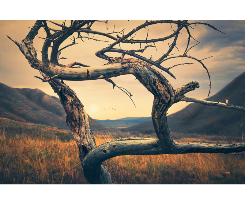 Wrapped Canvas Print, 60.96 cm H x 91.44 cm W
