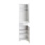 Arushan Freestanding Linen Cabinet