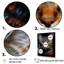 American Shorthair Harmony Cat I - décoration murale chat-95892499-95892502