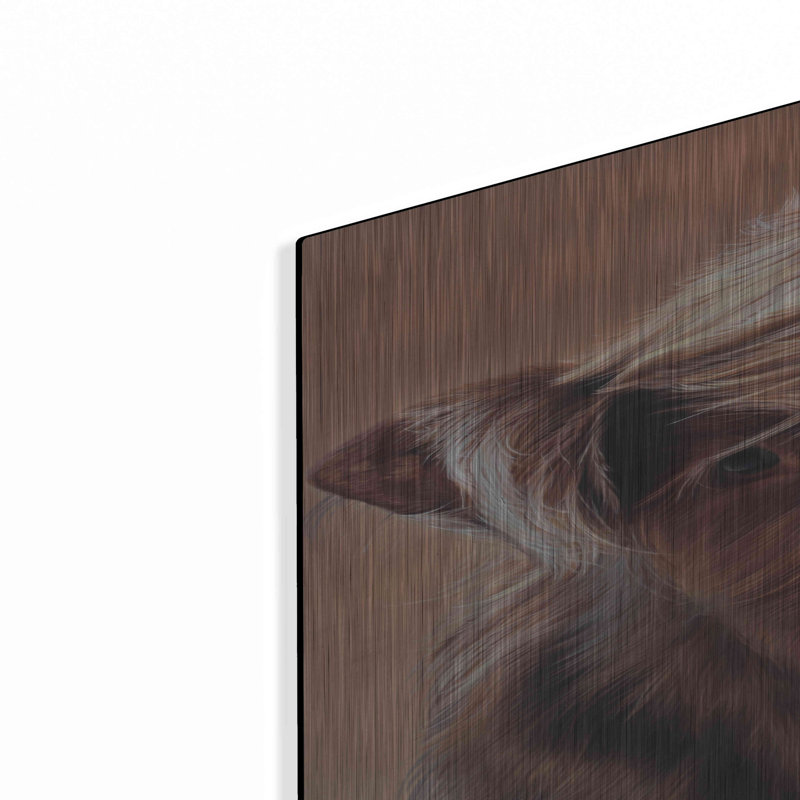 "Angus" par Sam Dolman, H 36 po x l 24 po