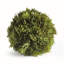 CYPRESS ORB 6.5"-575062520