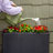 3-Section Wicker Planter Box - Black