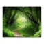 Wrapped Canvas Print-928568522