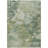 Machine Washable Indoor/Outdoor Jadiel ACN2367 Abstract Rug-1426547861