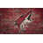 Arizona Coyotes