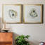 «Old Salt Shell I», ensemble de 2 reproductions d'art encadrées-2126001041-2048829126-2118285762
