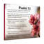 When God Seems Silent Psalm 13 - Wrapped Canvas Print-752932410