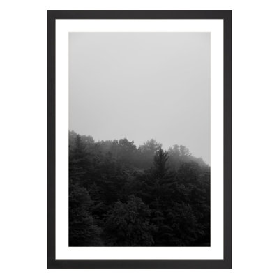 Landscape & Nature Print
