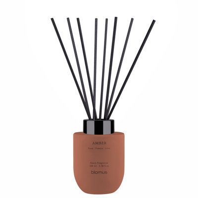 TUOKSU Reed Diffuser Fragrance Set - Amber (Rose/Freesia/Lime)