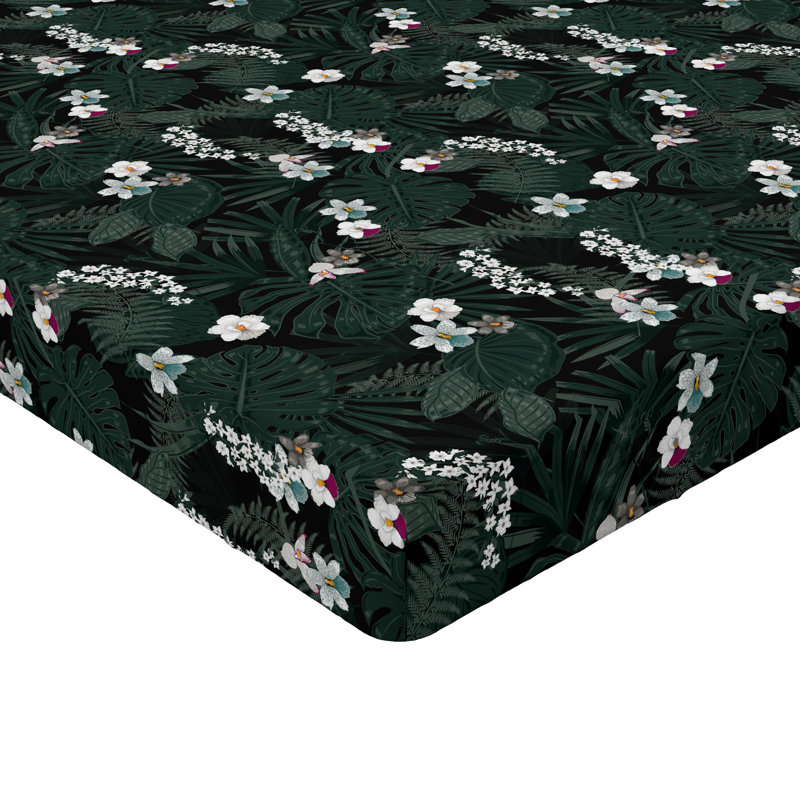 Drap-housse Ambesonne, Drap-housse grand