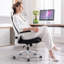 Tunney Ergonomic Height-Adjustable Mesh Office Chair with Headrest-696391593