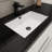 Raghida 58.82'' Single Bathroom Vanity with Plastic Top-108210521