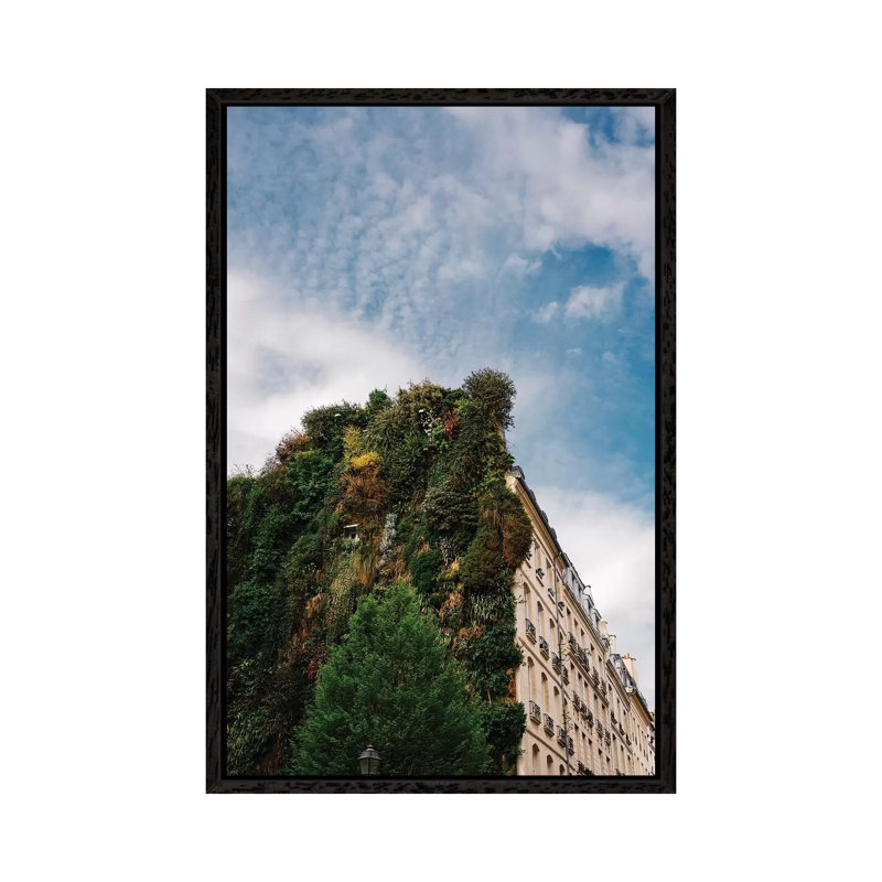 Parisian Vertical Garden by Bethany Young - Print on Canvas, Black Framed, 66.04cm H x 45.72cm W x 3.81cm D