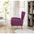 Ceijay Velvet Armchair-733231484
