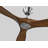 Obsidian Ceiling Fan-1694036871-1653802302