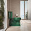 Siège de toilette à charnières à dégagement rapide Lustra-36664606-91038772