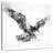 Brampt Eagle Flying Black And White-109209457