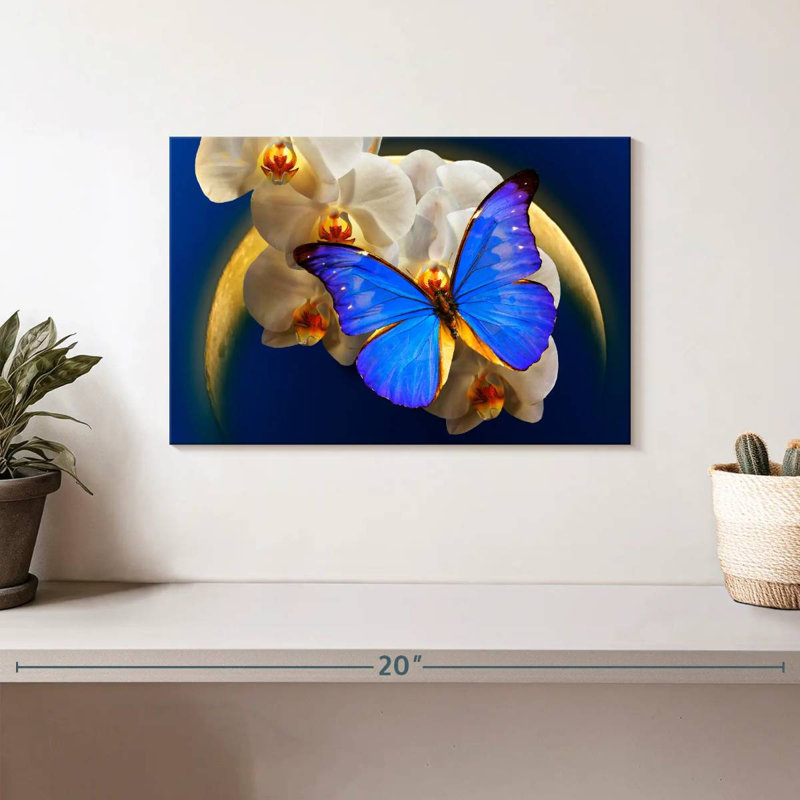 Papillon Morpho au clair de lune, H 8 po x l 12 po