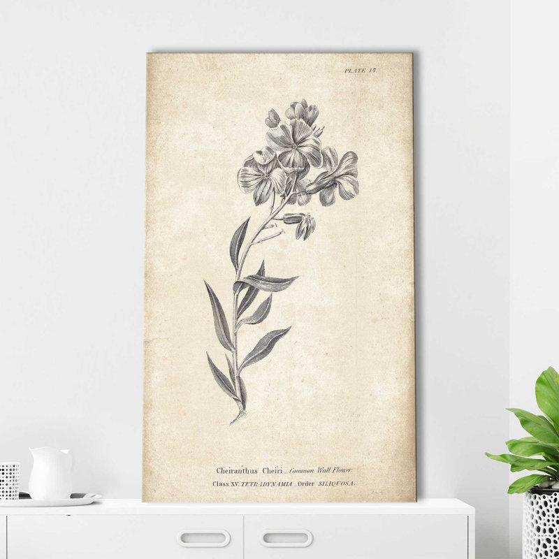 Conversations on Botany 6 - Peinture, L 18 po x H 30 po, Toile tendue