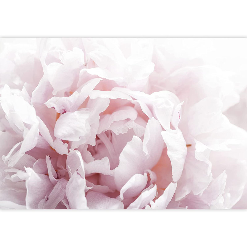 Floral Petal Closeup Peel & Stick Floral Border, 66" L x 96" W
