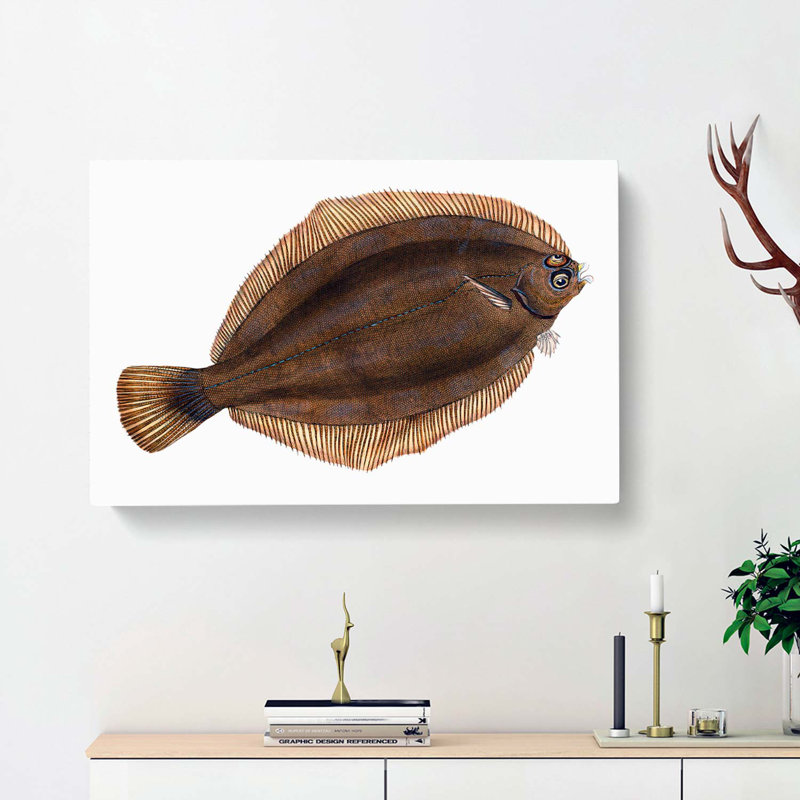 Turbot Fish by Edward Donovan - Wrapped Canvas Painting, 35cm H x 50cm W x 3cm D