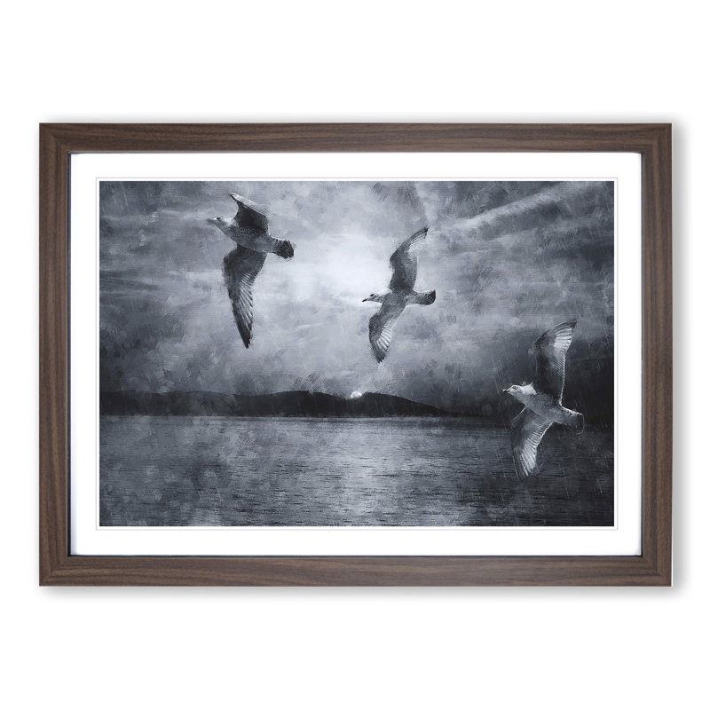 Three Seagulls - Picture Frame Graphic Art, Walnut, 48cm H x 65cm W x 2cm D