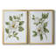 «Magnolia Morning I», toile encadrée de qualité supérieure - prête à être accrochée-1603279574-1603279570