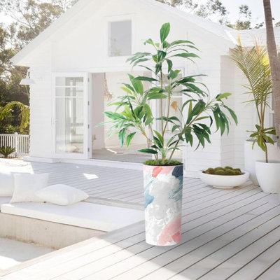 66 plantes