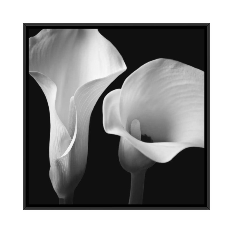 «Softness II», reproduction de photo sur toile, H 18 po x l 18 po x p 1,5 po, Toile avec cadre noir