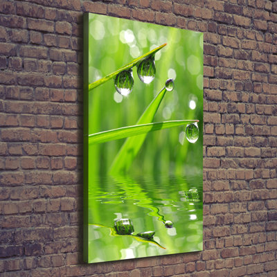 Blades Of Grass - Wrapped Canvas Print
