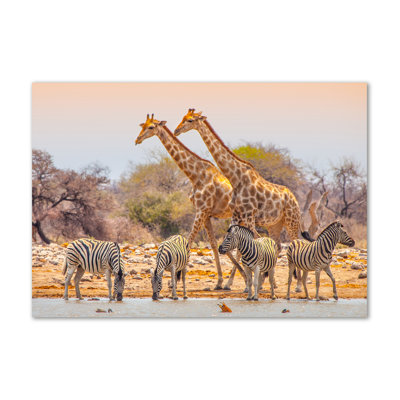 Giraffes And Zebras - No Frame Print on Canvas