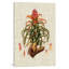 « élégant tropicals iv », reproduction d’impression sur toile tendue-20834041-73161646-73161647