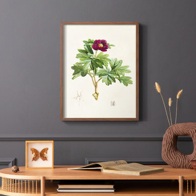 Pretty Pink Botanicals III Framed Print - Solid Wood