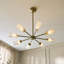 Clara 8 - Light Shaded Chandelier
